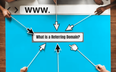 What is referring domains?