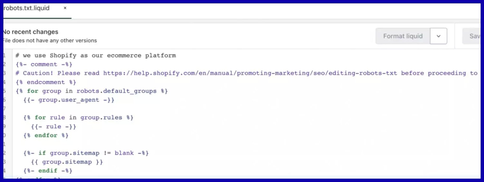 Robots.txt File